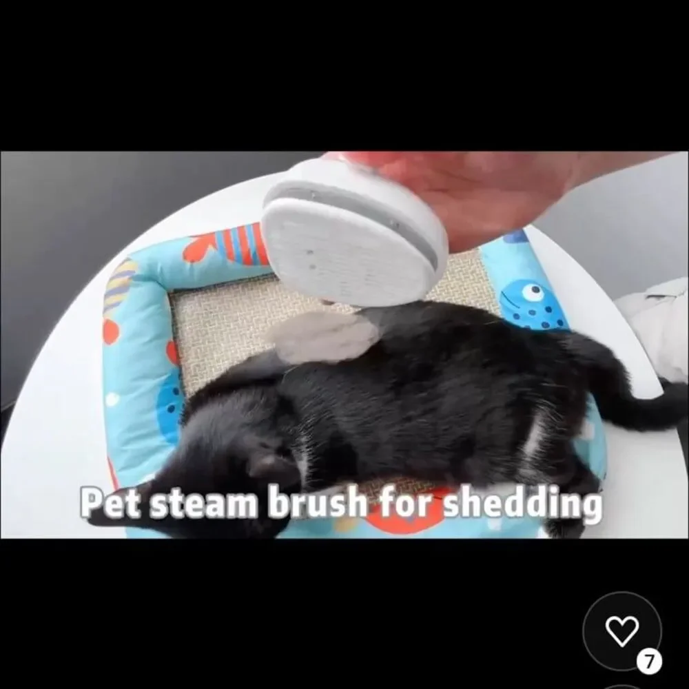Steam Brush for Shedding,Self Cleaning Pet Brush with Steam,Rechargeable NWT
